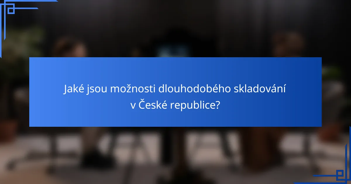 Jaké jsou možnosti dlouhodobého skladování v České republice?