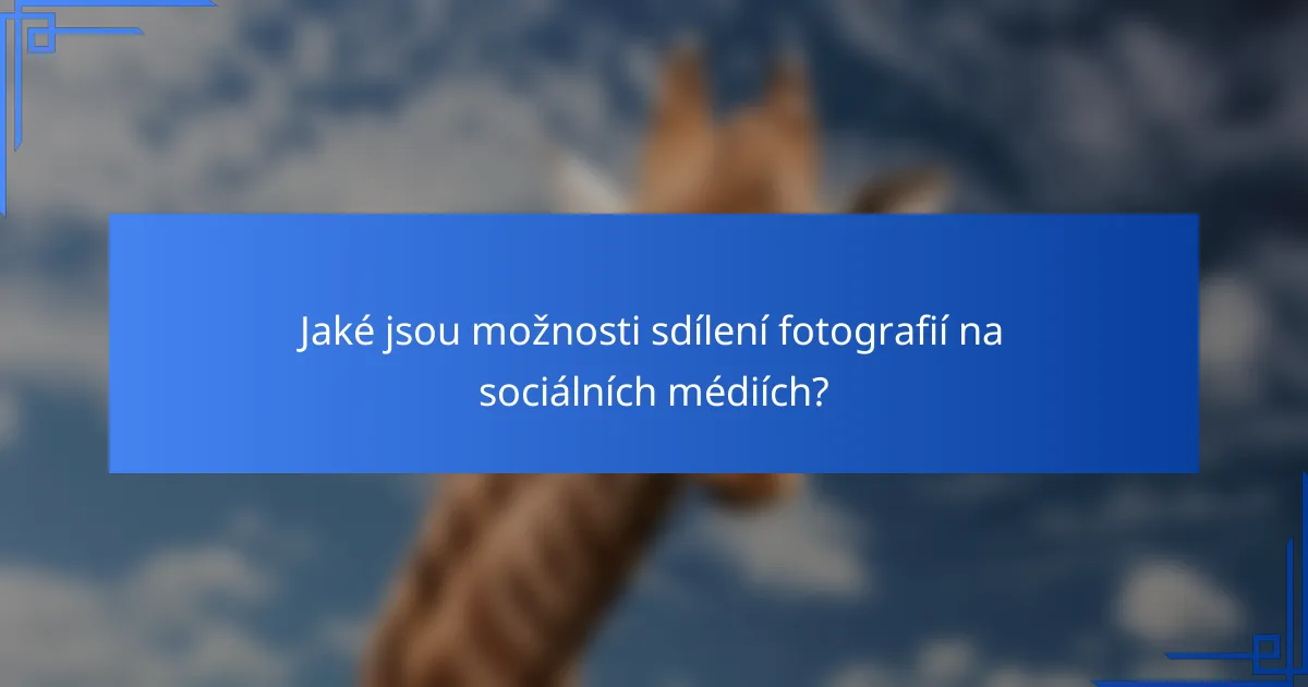 Jaké jsou možnosti sdílení fotografií na sociálních médiích?