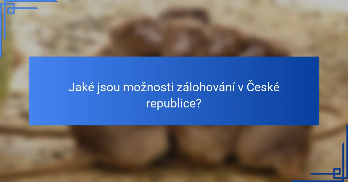 Jaké jsou možnosti zálohování v České republice?