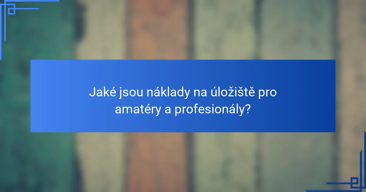 Jaké jsou náklady na úložiště pro amatéry a profesionály?
