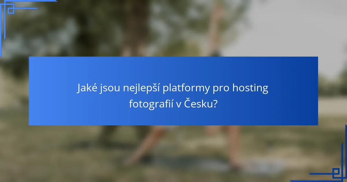 Jaké jsou nejlepší platformy pro hosting fotografií v Česku?
