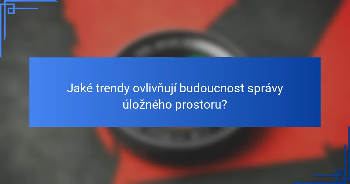 Jaké trendy ovlivňují budoucnost správy úložného prostoru?
